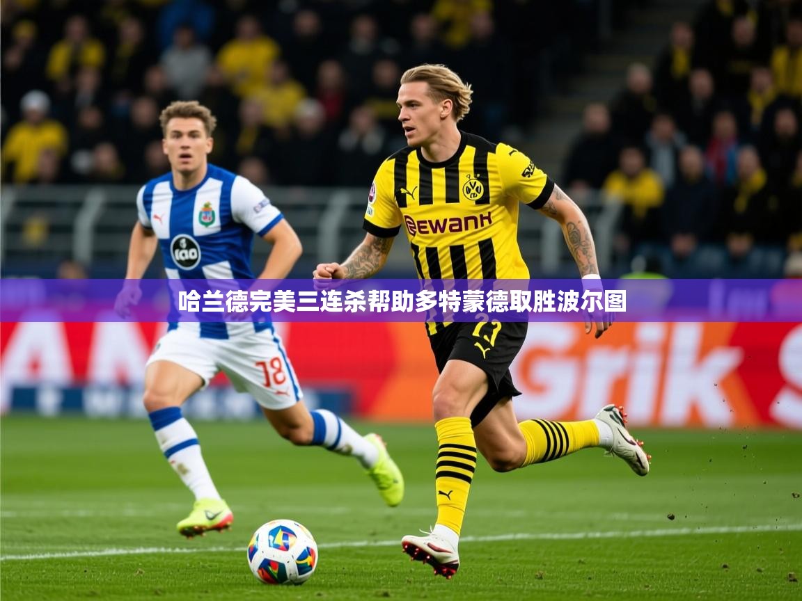 2025开云体育注册app哈兰德完美三连杀帮助多特蒙德取胜波尔图  第1张